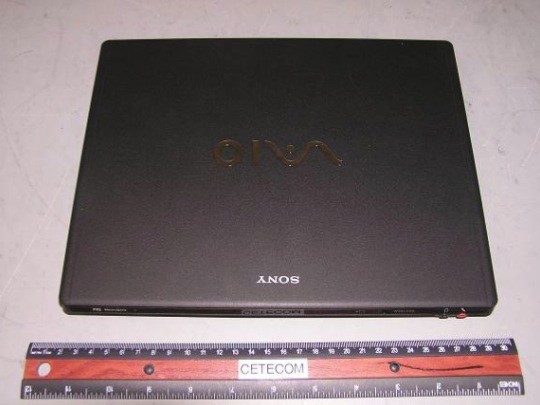 Sony VAIO GS 