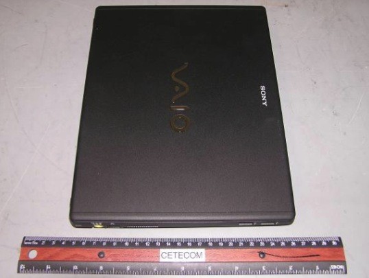 Sony VAIO GS 