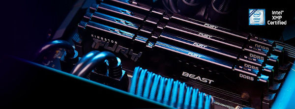 Kingston FURY Beast DDR5